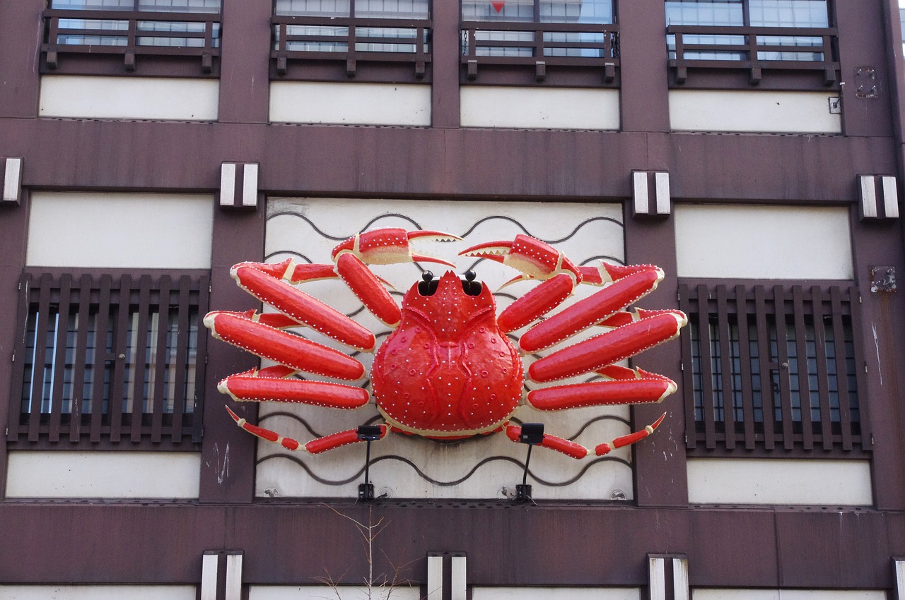 유명인들의 여행