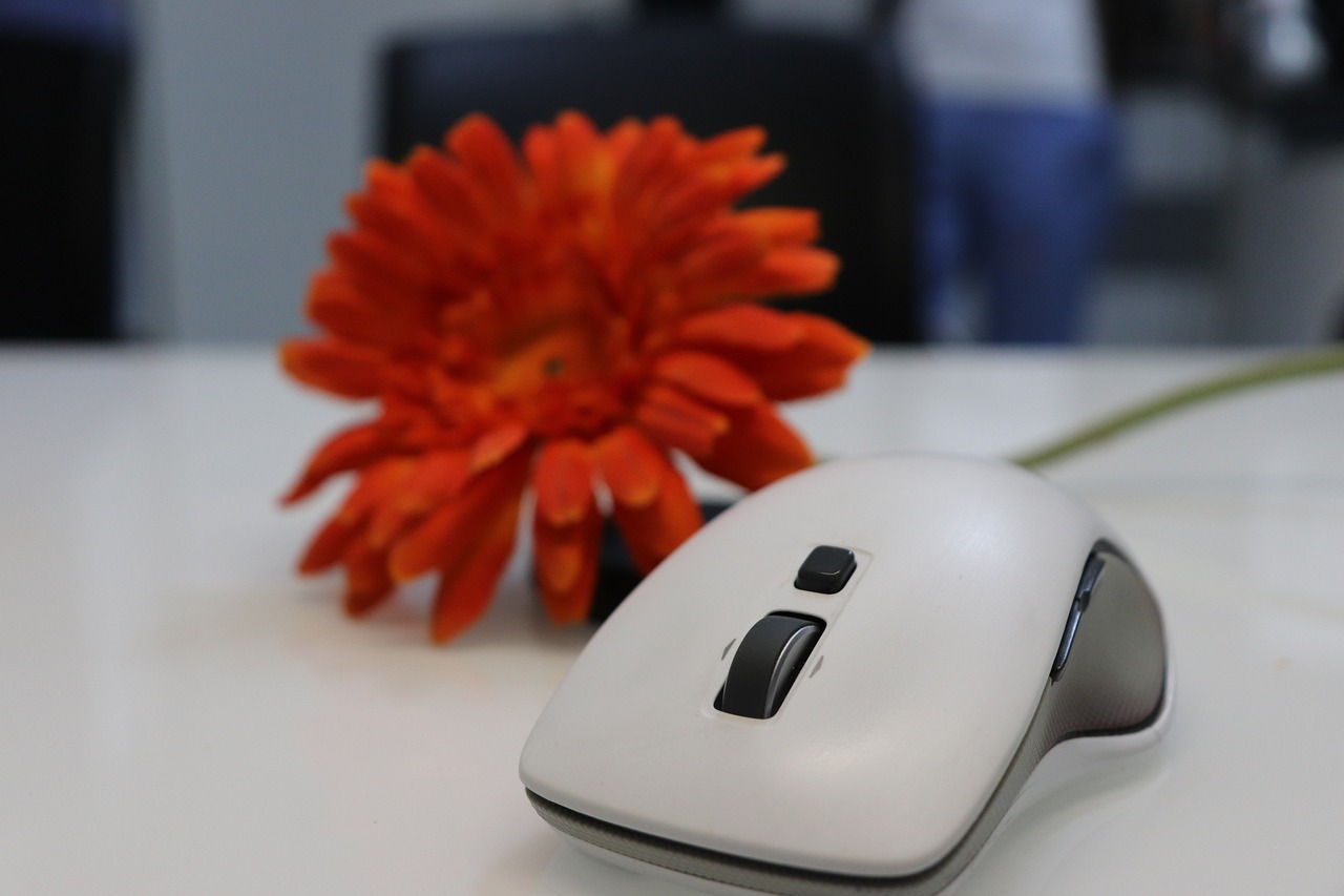 디지털 미니멀리즘